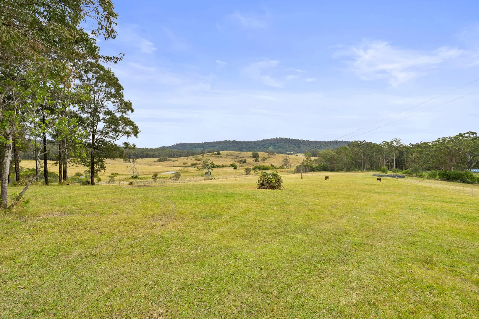 Additional image 3 of 1742 Wooli Road, Pillar Valley NSW 2462