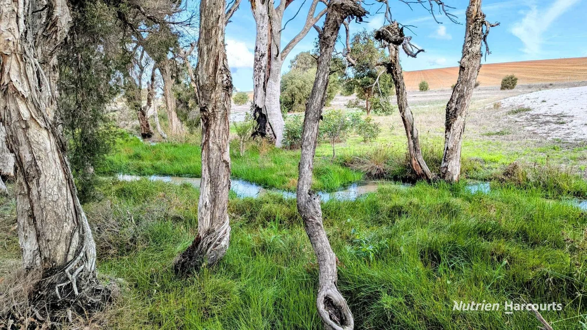 Additional image 12 of 5428 Brand Highway, Boonanarring, Gingin WA 6503