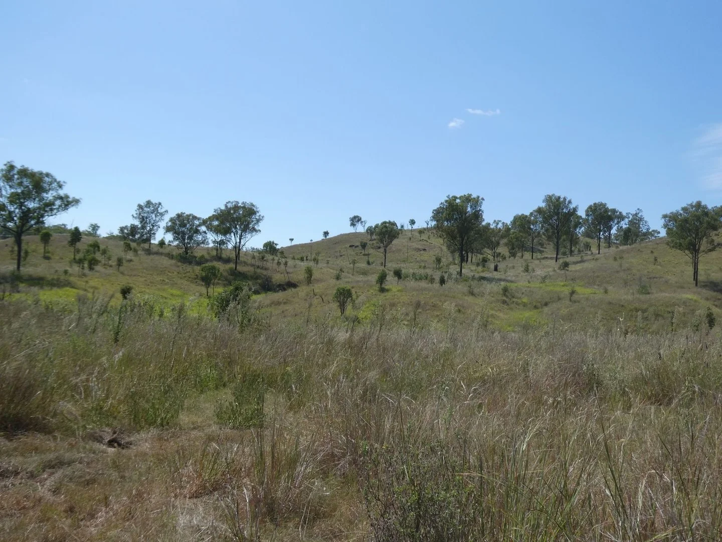 Lot 14 Monto Mount Perry Road, Mungy QLD 4671
