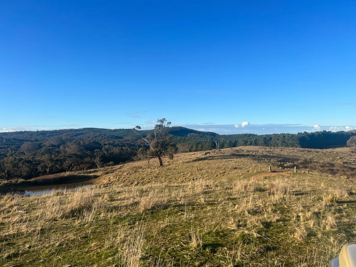 Additional image 3 of Newbridge NSW 2795