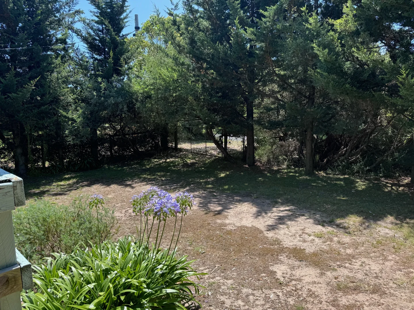 Additional image 10 of 181 Lees Road, Venus Bay VIC 3956