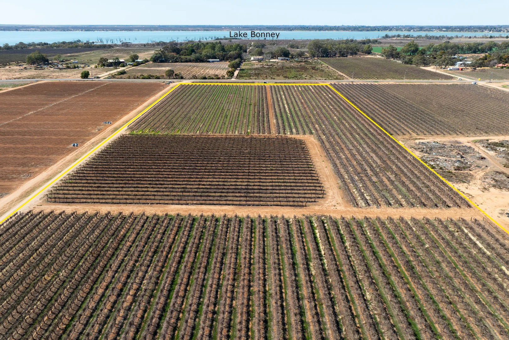 Additional image 39 of 229 Morgan Road, Cobdogla SA 5346