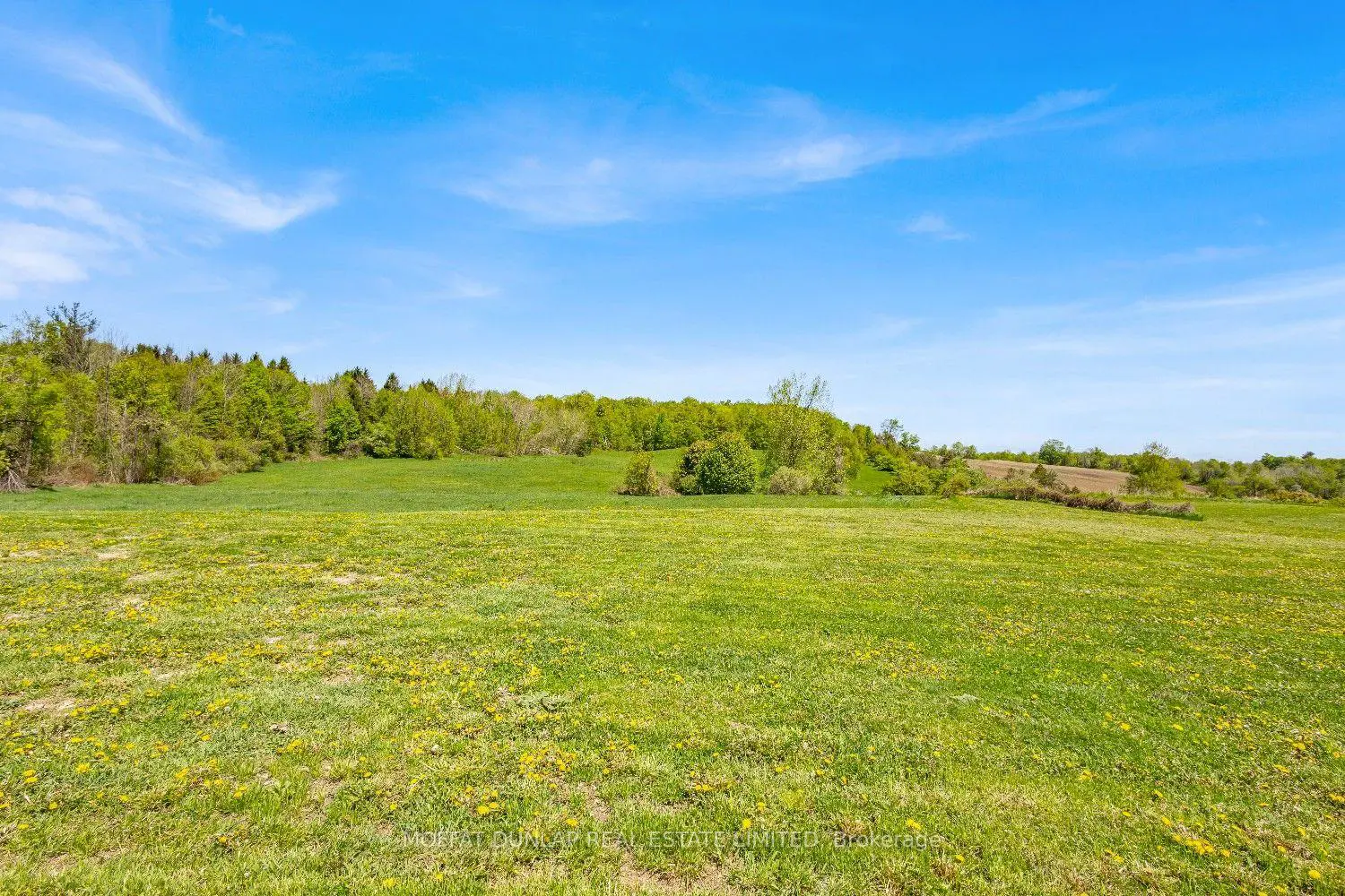 Additional image 18 of 18161 Heart Lake Road