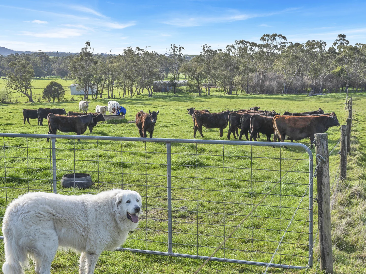 Additional image 21 of 140 Seymour Road, Nar Nar Goon VIC 3812