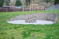 Additional image 29 of 7544 Mesplay Ave SE, Lacey, WA, 98503