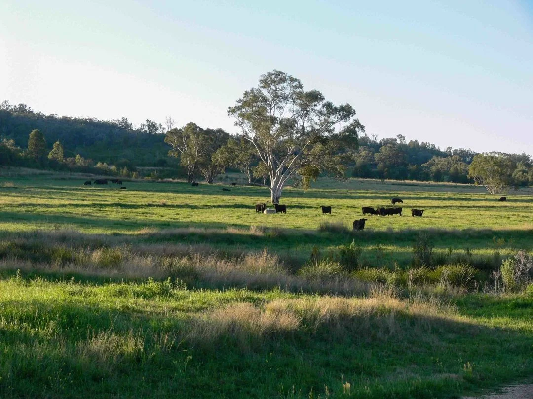 Additional image 8 of The Glen, Berrigal NSW 2390