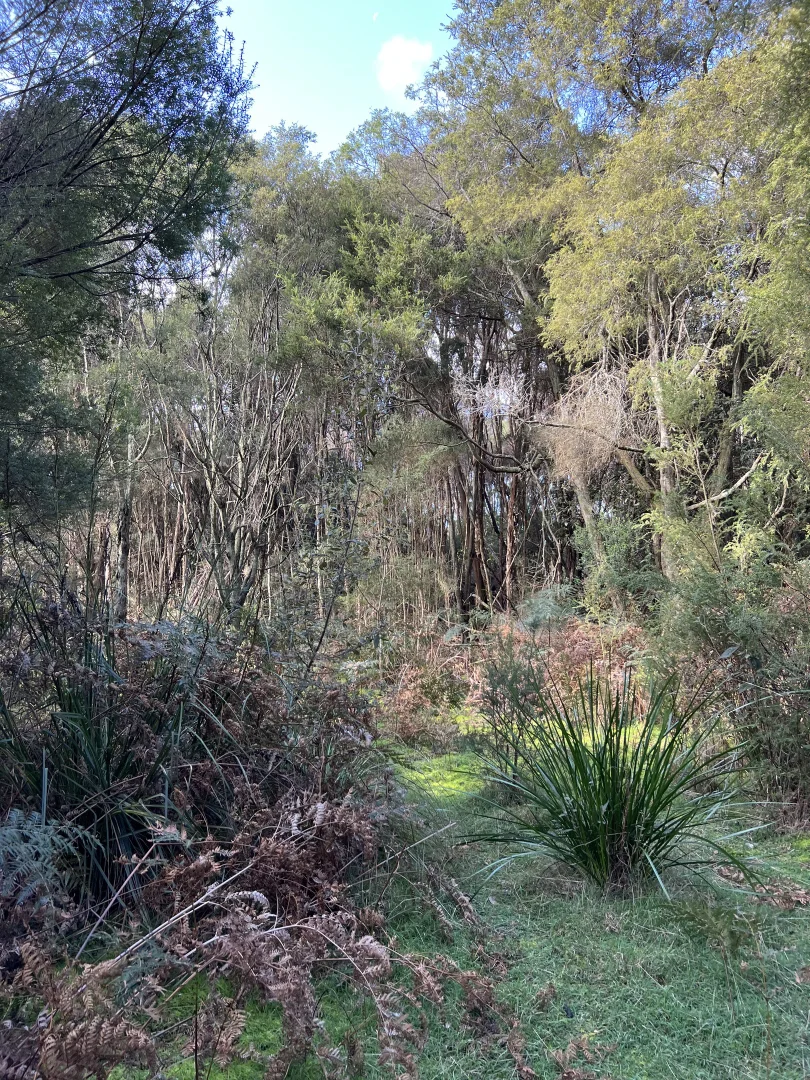 Additional image 7 of 1038 Pegarah Road, Naracoopa TAS 7256