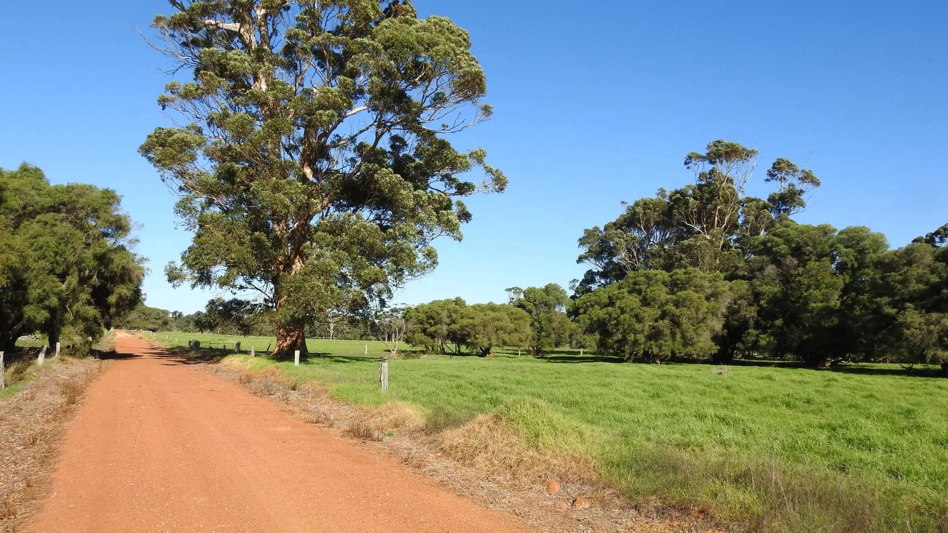 Additional image 12 of Calgardup Road, Forest Grove WA 6286