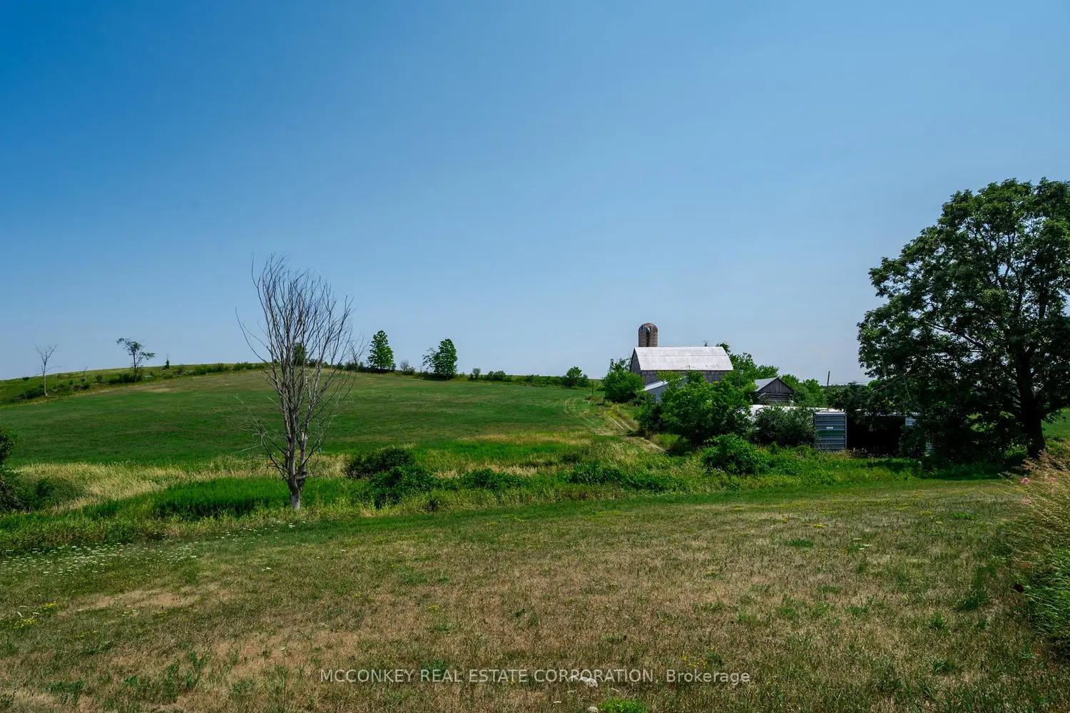 2137 Drummond Line photo 3