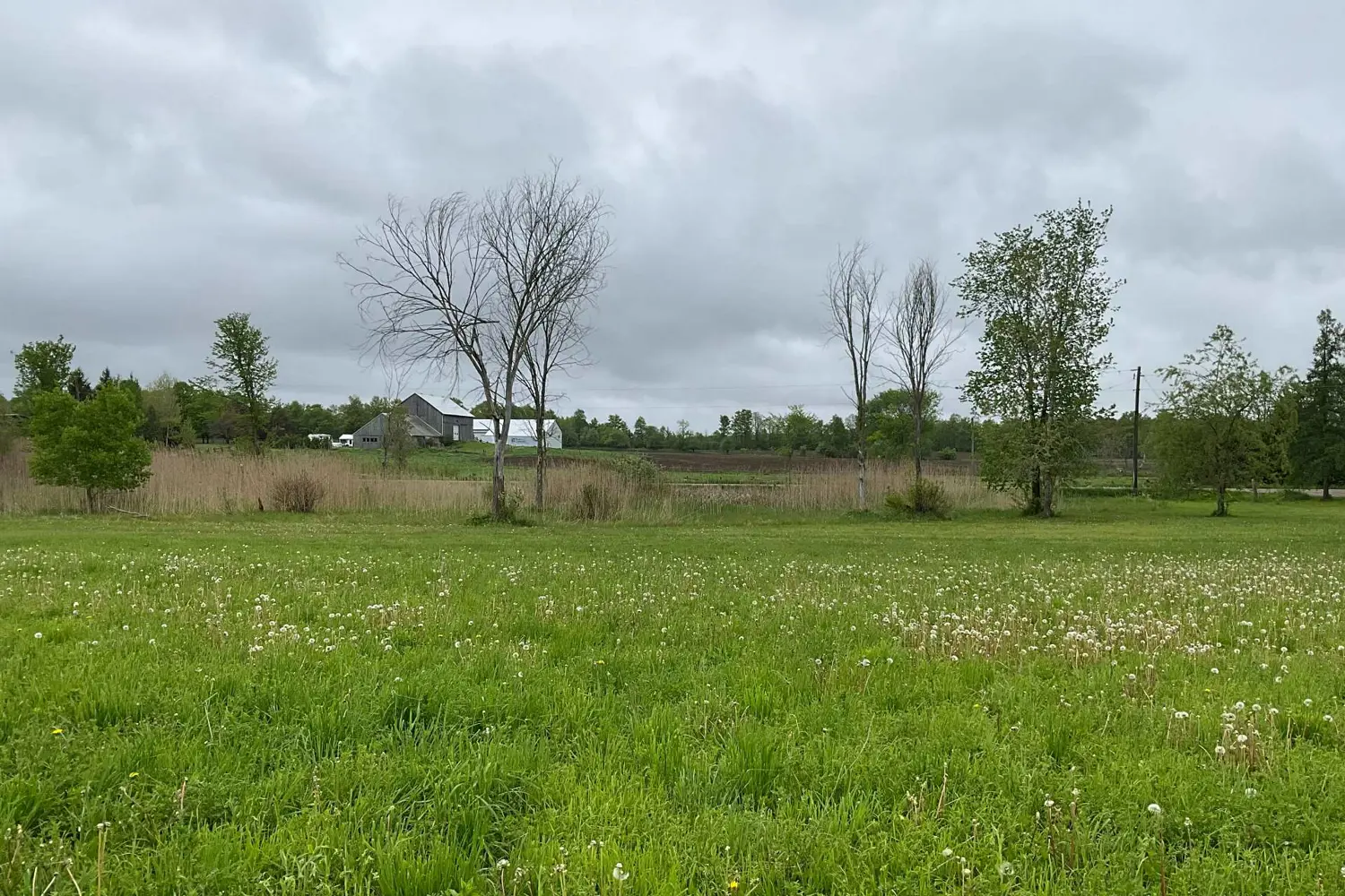 Additional image 2 of 5169 First Line