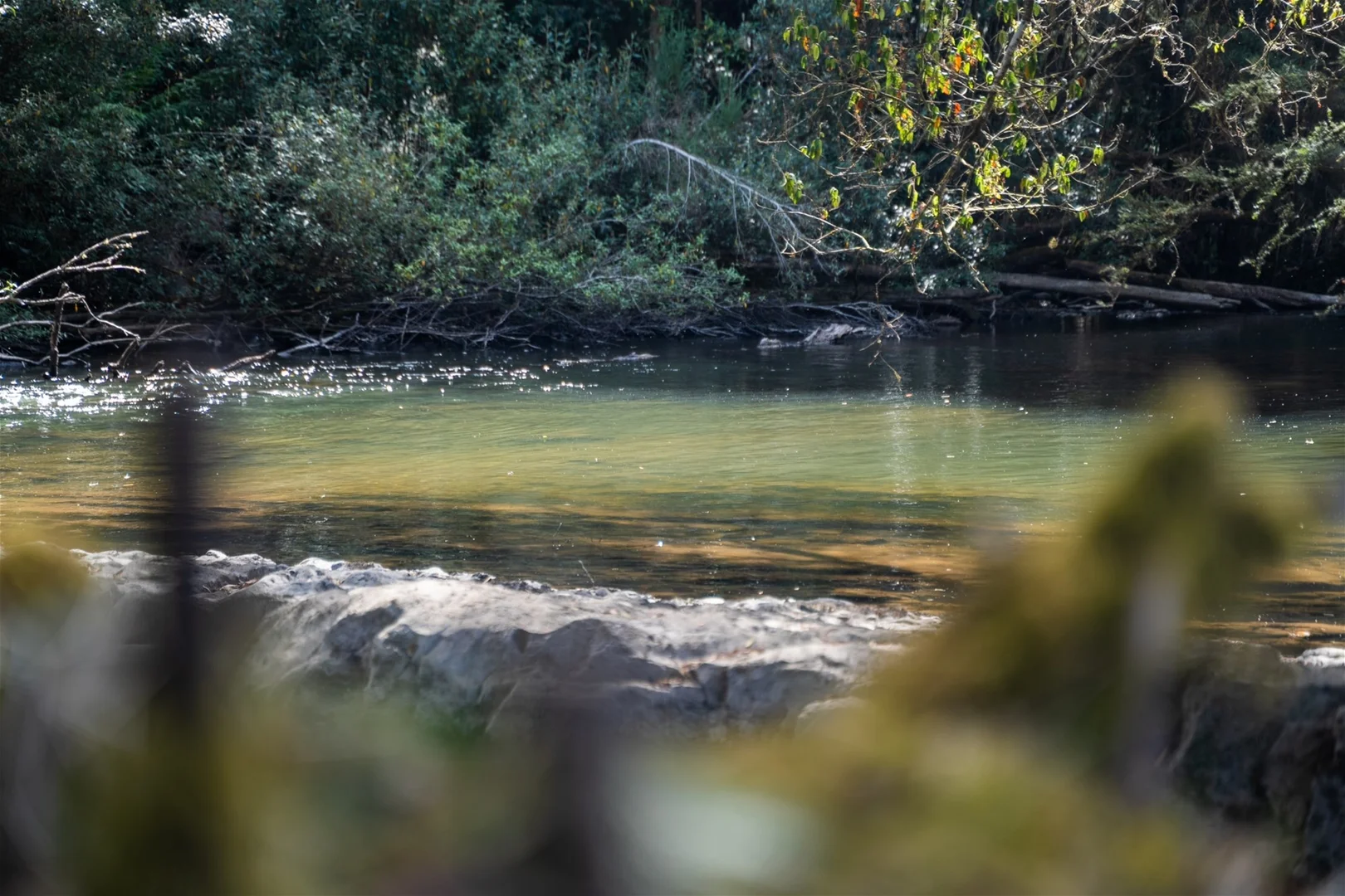 Additional image 13 of 77 Fitzgerald Station Rd, Fitzgerald TAS 7140