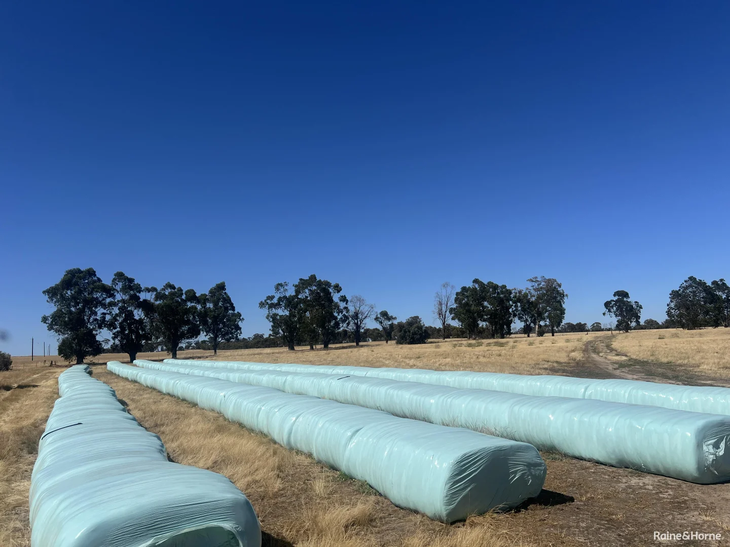 Additional image 10 of 124 Highbury East Road, Highbury WA 6313