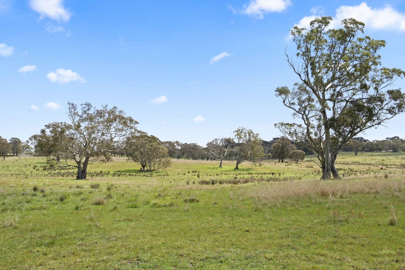 Additional image 21 of 1854 Range Road, Mummel NSW 2580