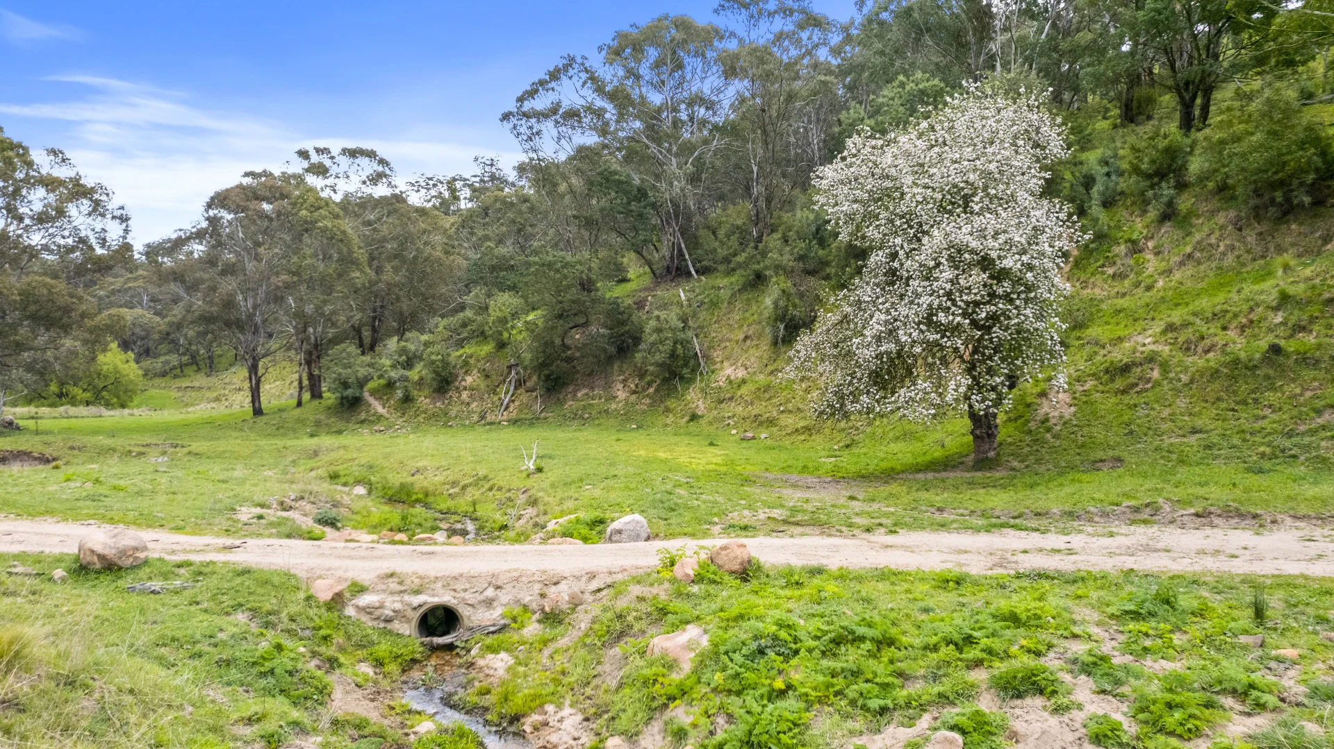 Additional image 21 of 191 Jerrys Meadow Road, Sodwalls NSW 2790