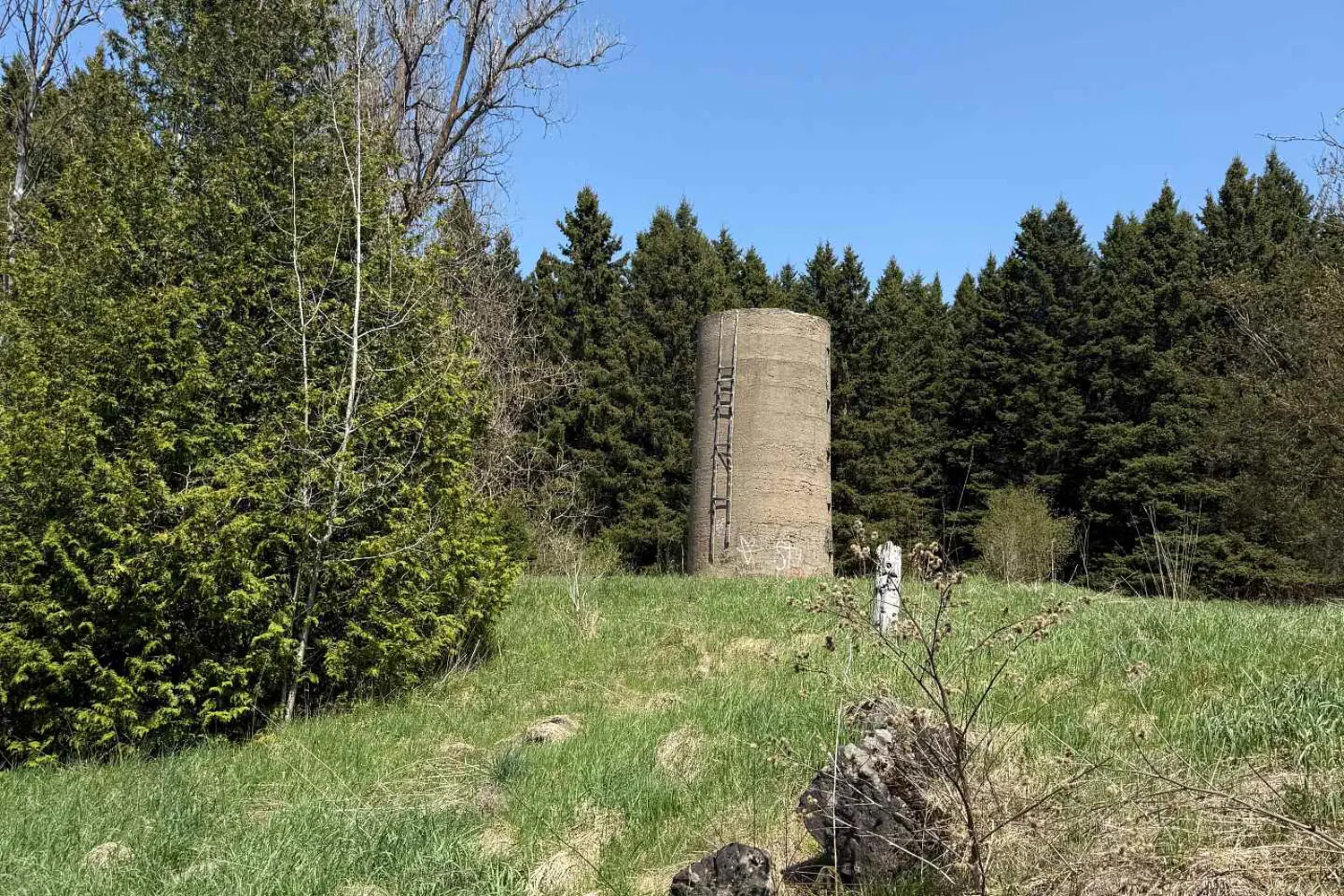 Additional image 3 of 20489 Hurontario Street