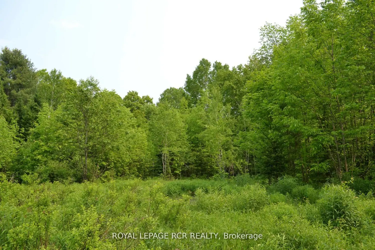 Additional image 4 of 1527 Madill Road