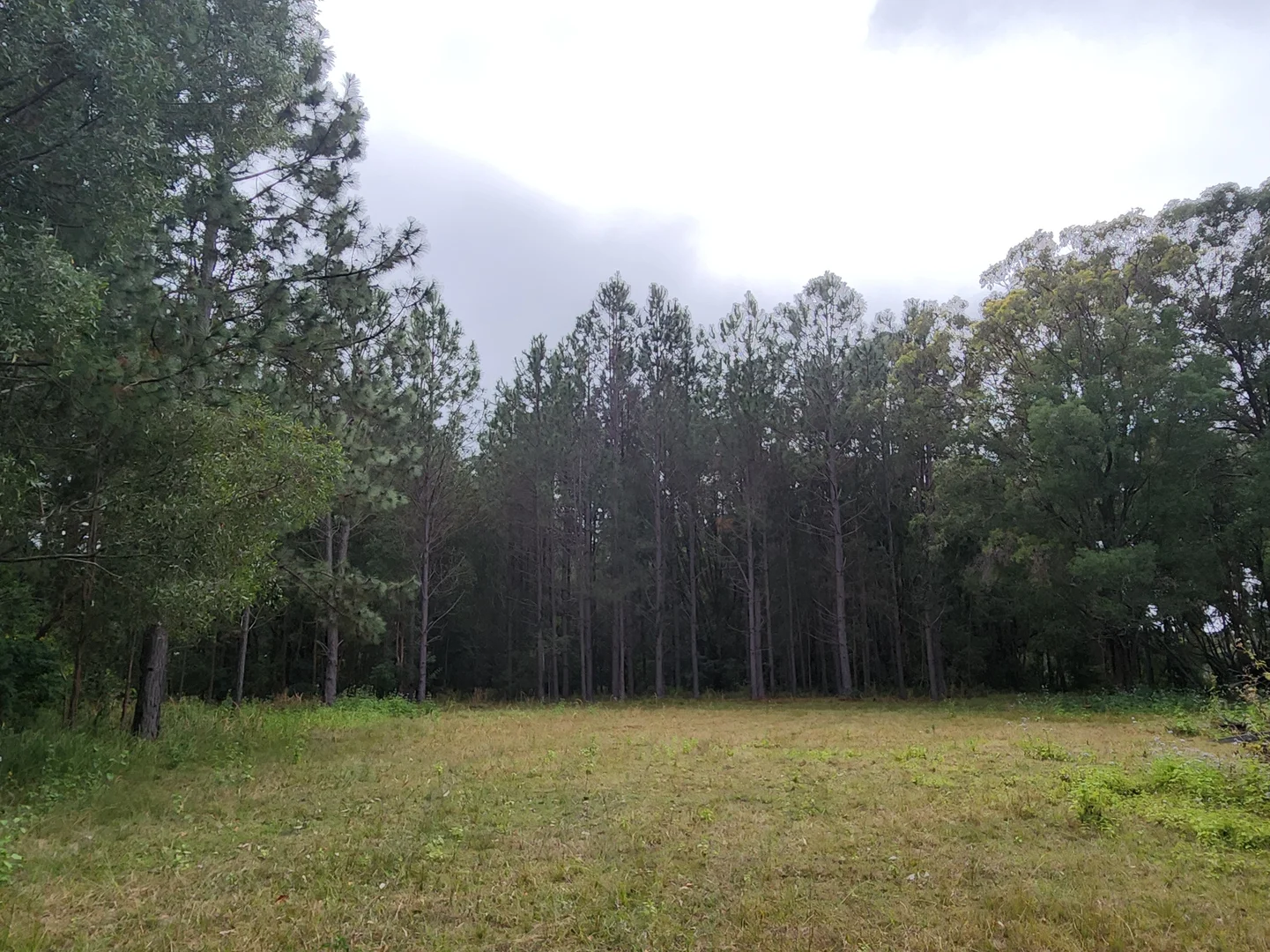 Additional image 16 of 27 Platers Road, Gulmarrad NSW 2463