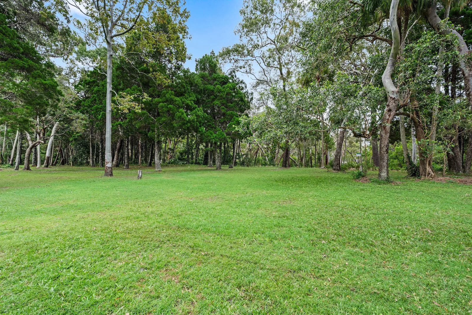 Additional image 24 of 20 Orchid Avenue, Tinnanbar QLD 4650