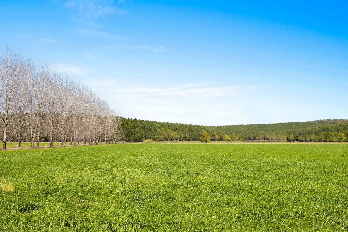 Additional image 32 of 365 Knights Road, Kyogle NSW 2474