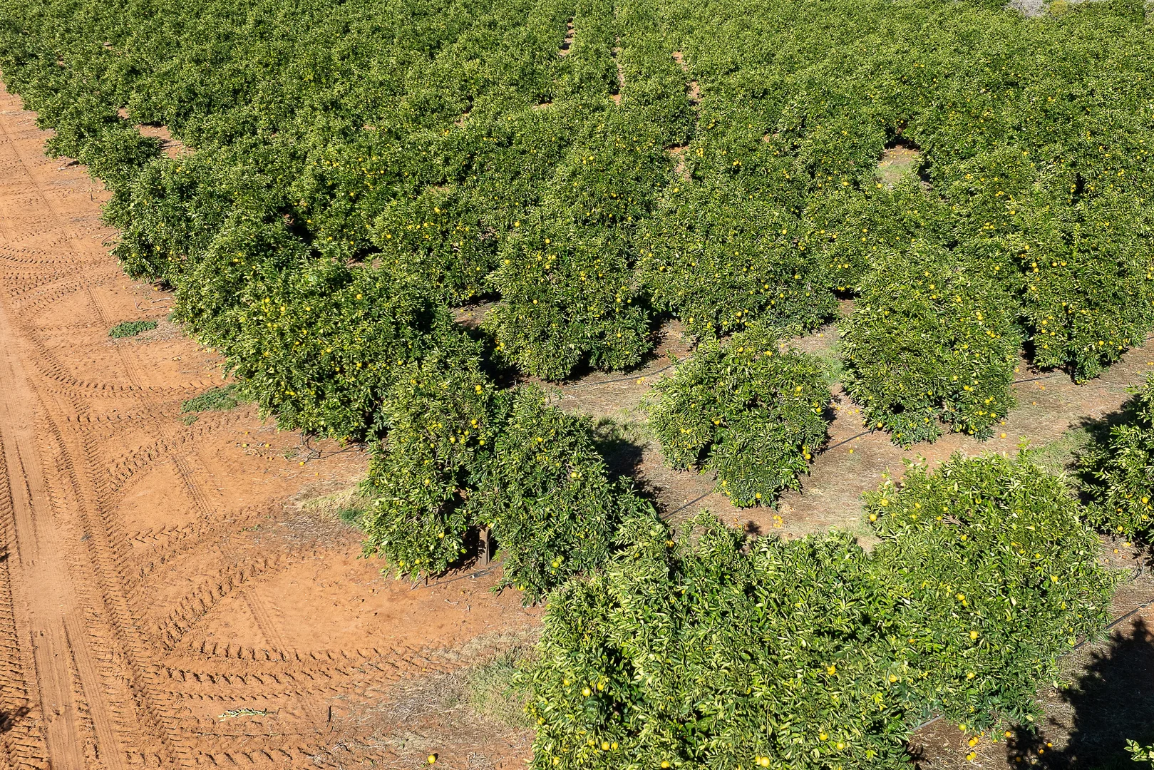 Additional image 3 of 2 Balfour Ogilvy Avenue, Loxton SA 5333