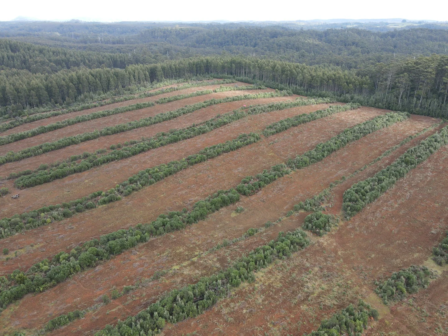 Additional image 7 of 885 Newhaven Road, Mawbanna TAS 7321