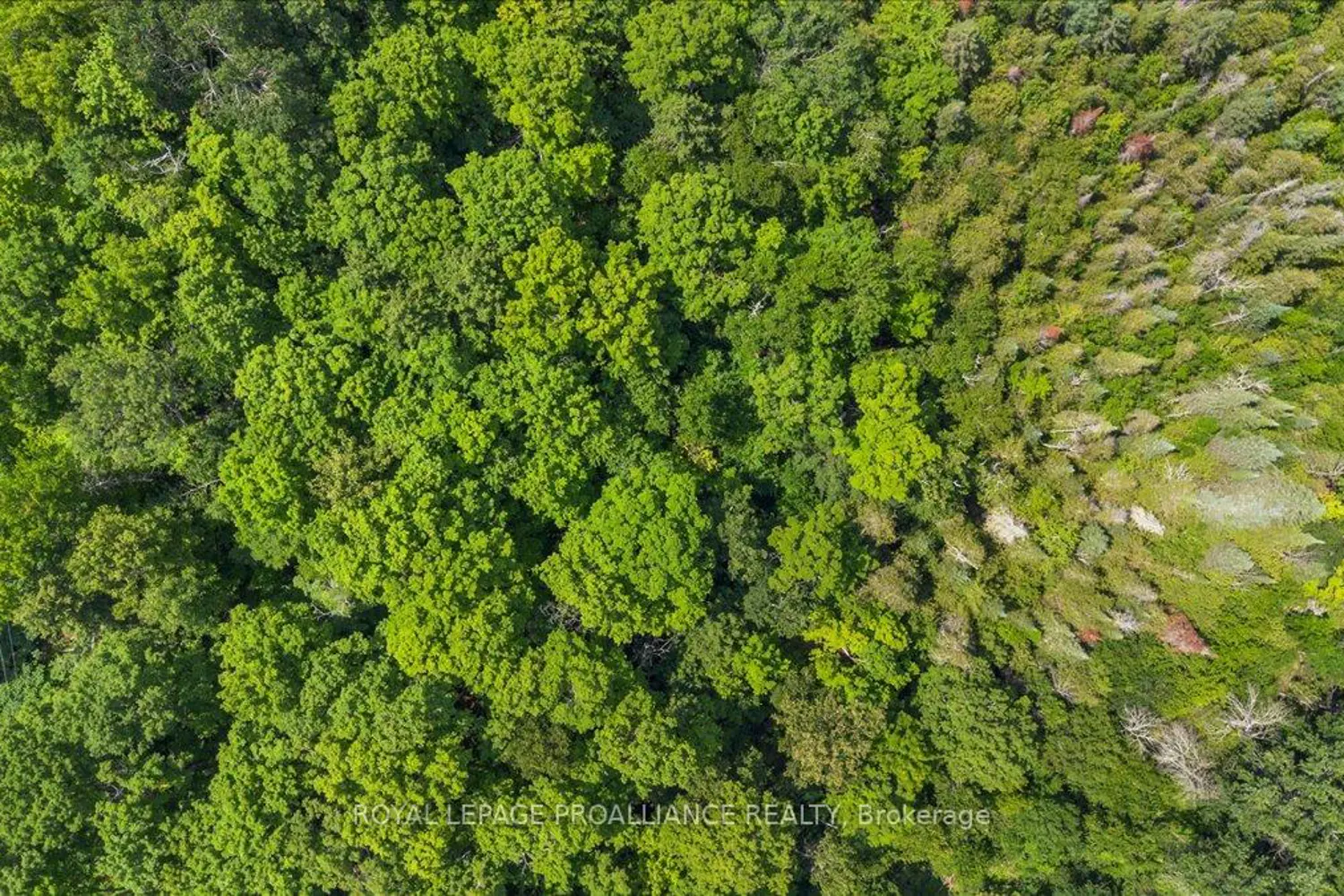 Additional image 6 of 0 Rapids Court