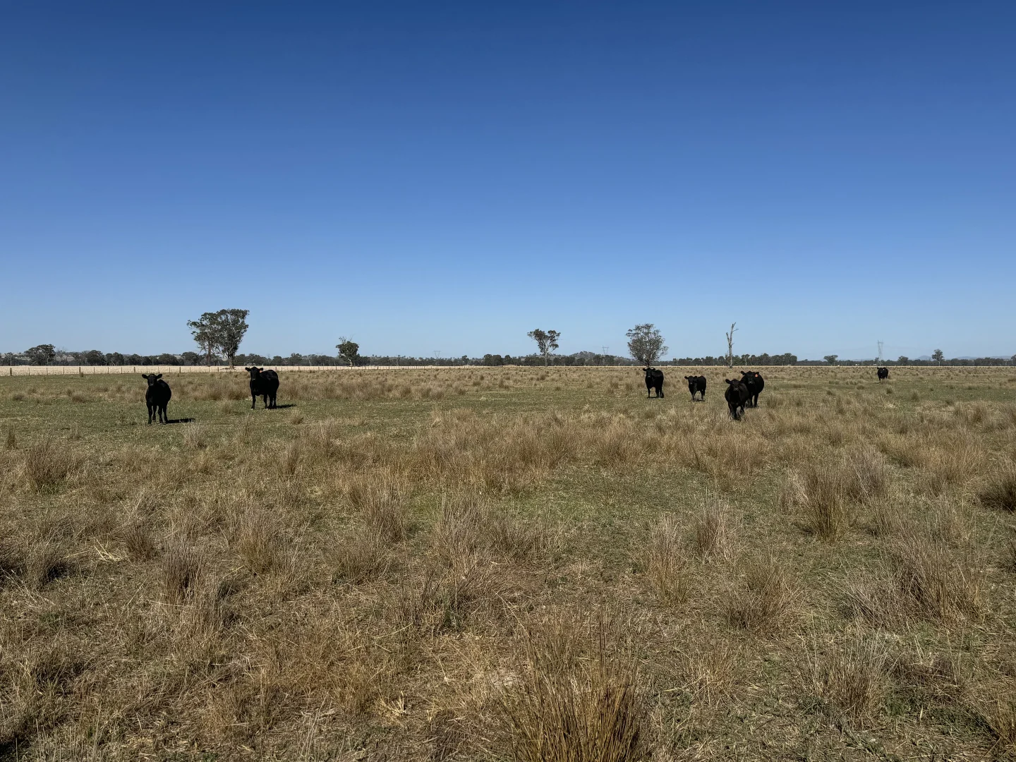 Additional image 6 of 122 Reapers Road, Culcairn NSW 2660