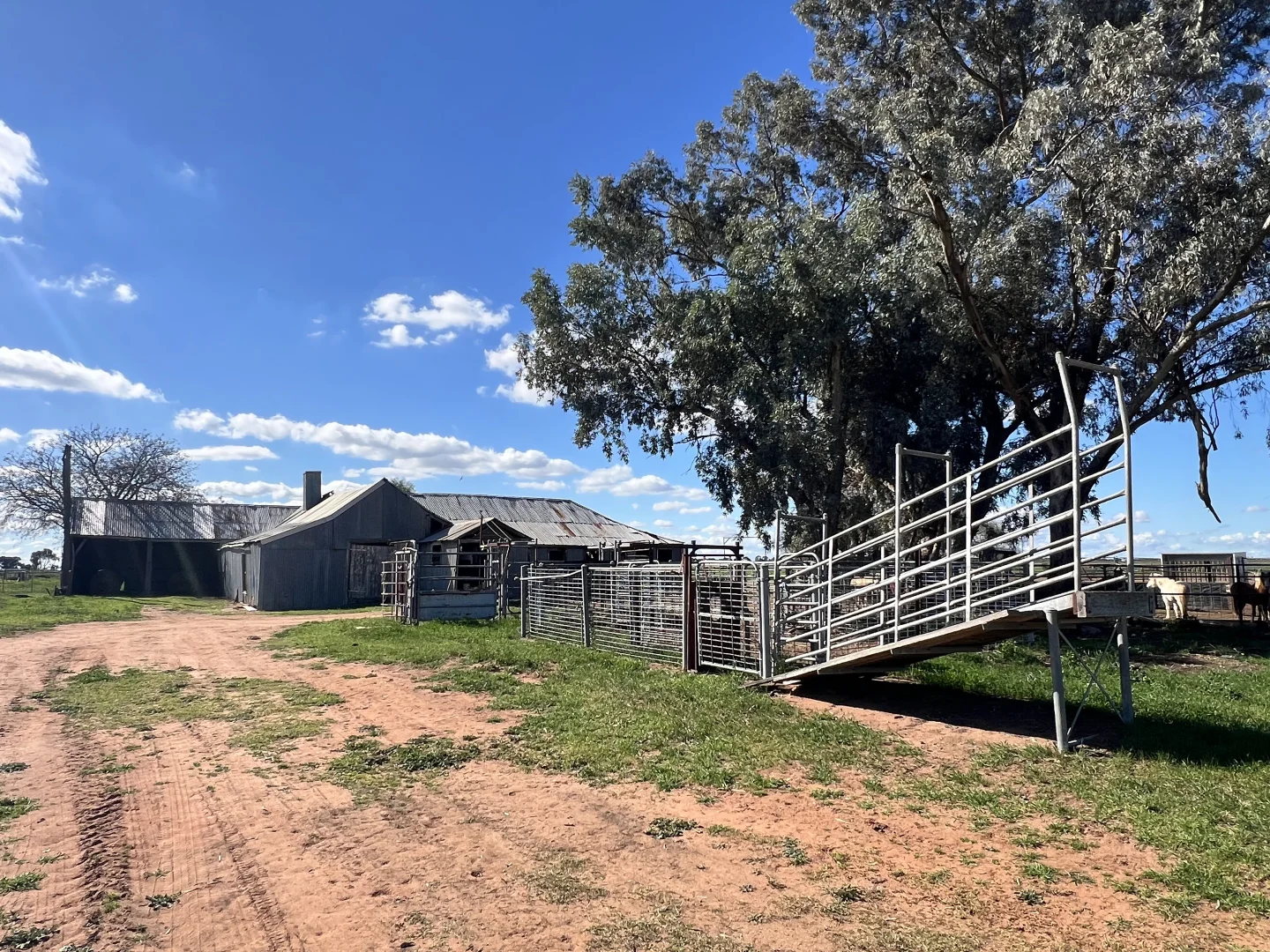 Additional image 29 of Farm 205/347 Fairlie Grange Road, Coleambally NSW 2707