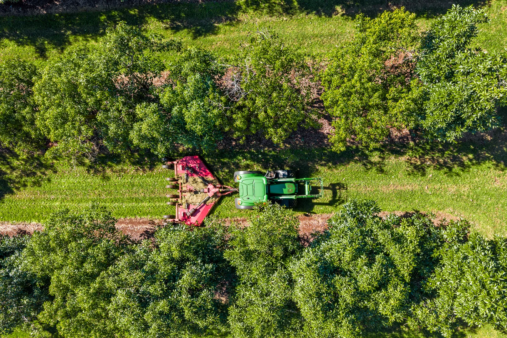 Additional image 22 of 'Ravensbourne Ridge' 45 Blanck Road, Ravensbourne QLD 4352