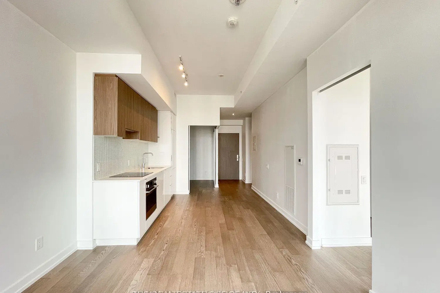 Additional image 5 of 161 Roehampton Avenue 2113