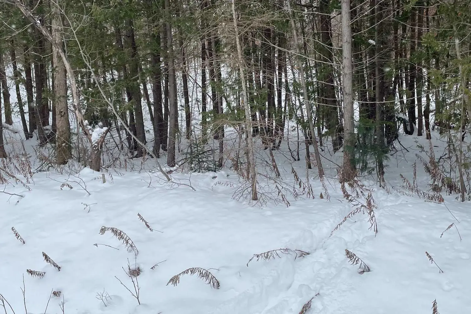 Additional image 7 of Ptlt 37 Trent View Drive