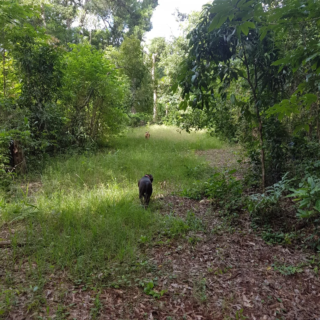 Additional image 21 of 29 Railway Avenue, Cooktown QLD 4895