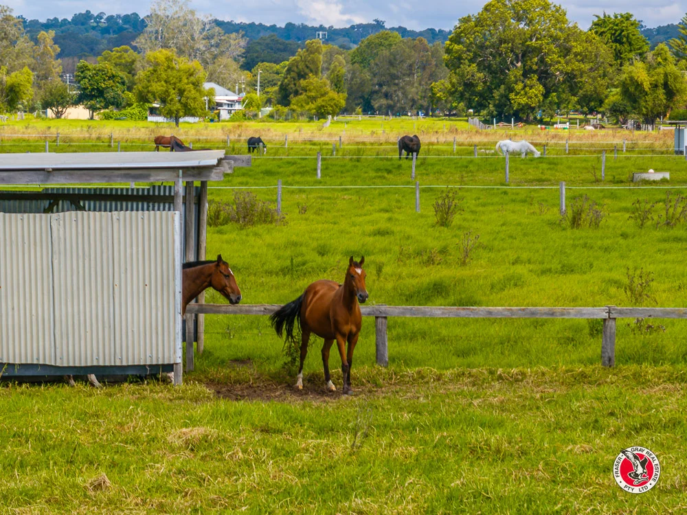 Additional image 29 of 5 Guthrie Street, Moruya NSW 2537