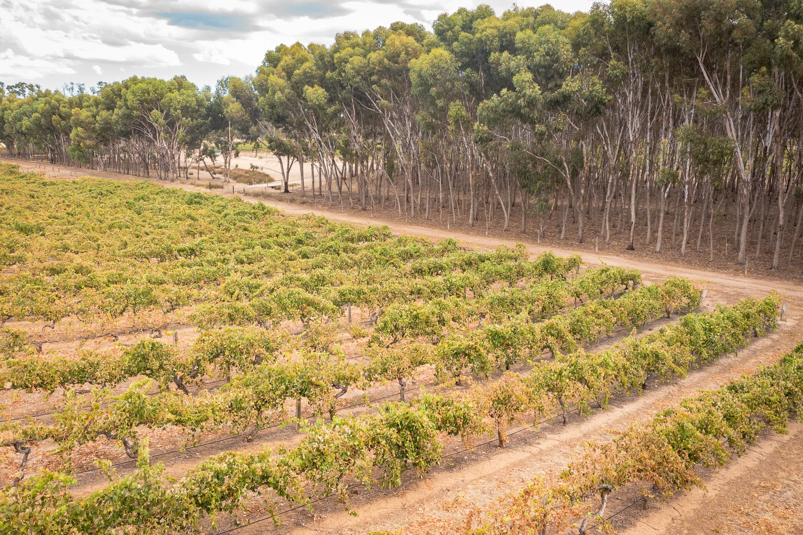 Additional image 9 of Lot 91 Nuraip Road, Nuriootpa SA 5355