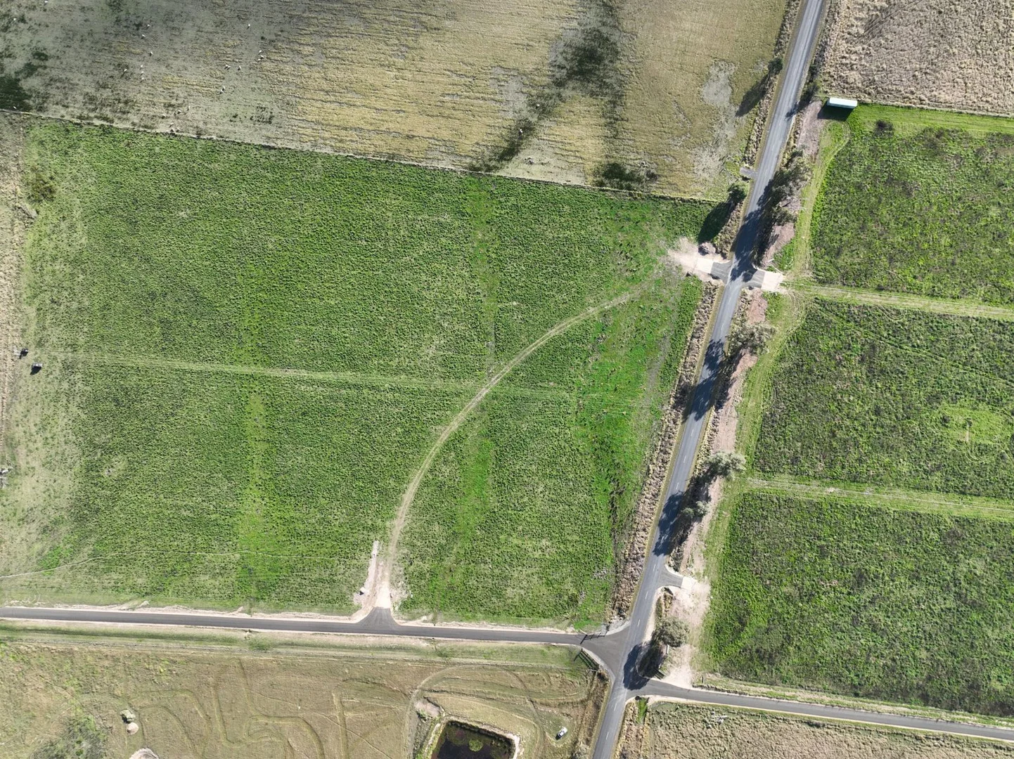 Additional image 5 of 965C Bruxner Way, Tenterfield NSW 2372