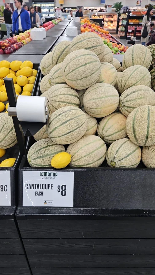 Additional image 3 of 138 North River Road, North Plantations WA 6701