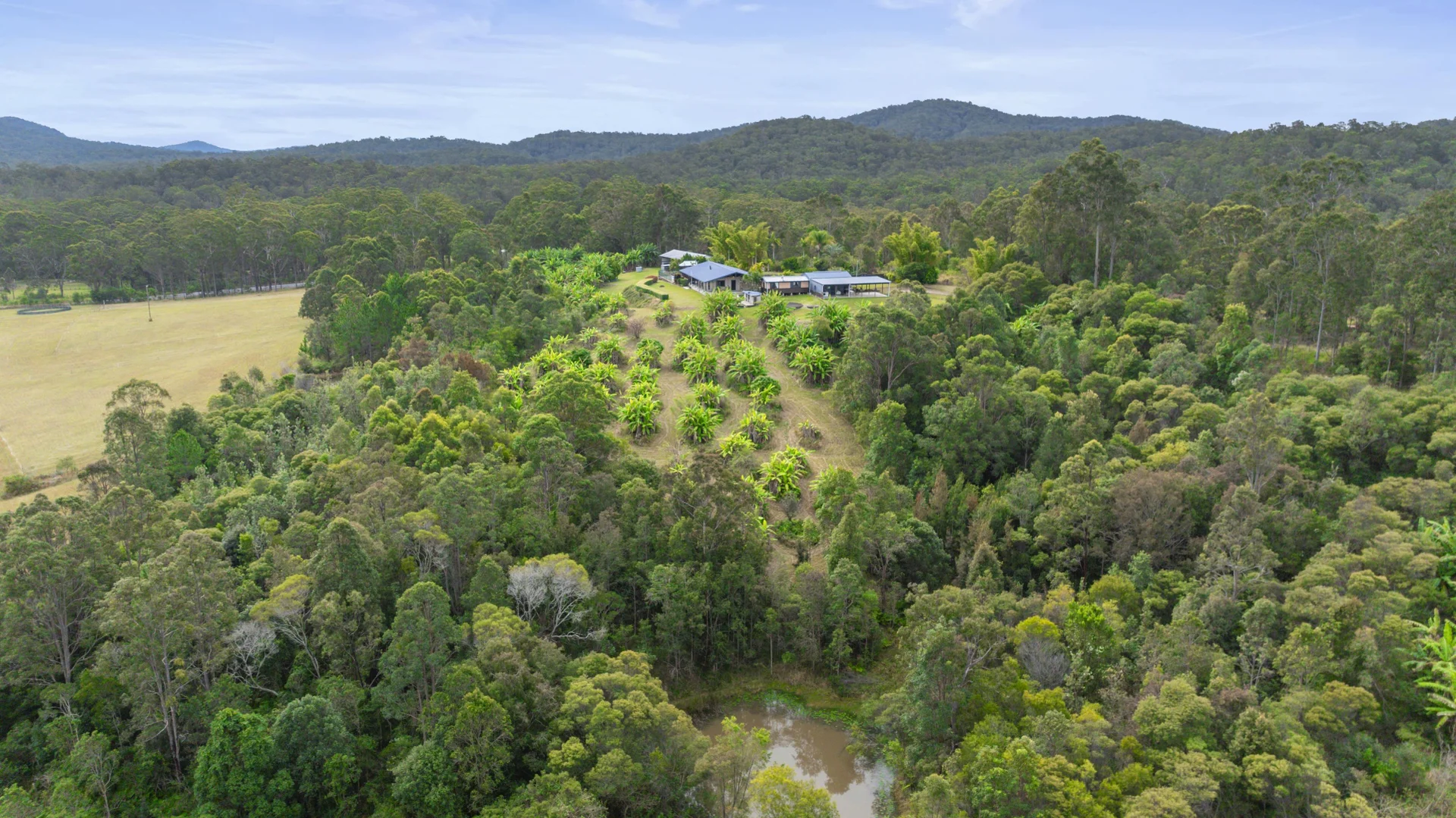 Additional image 16 of 1742 Wooli Road, Pillar Valley NSW 2462