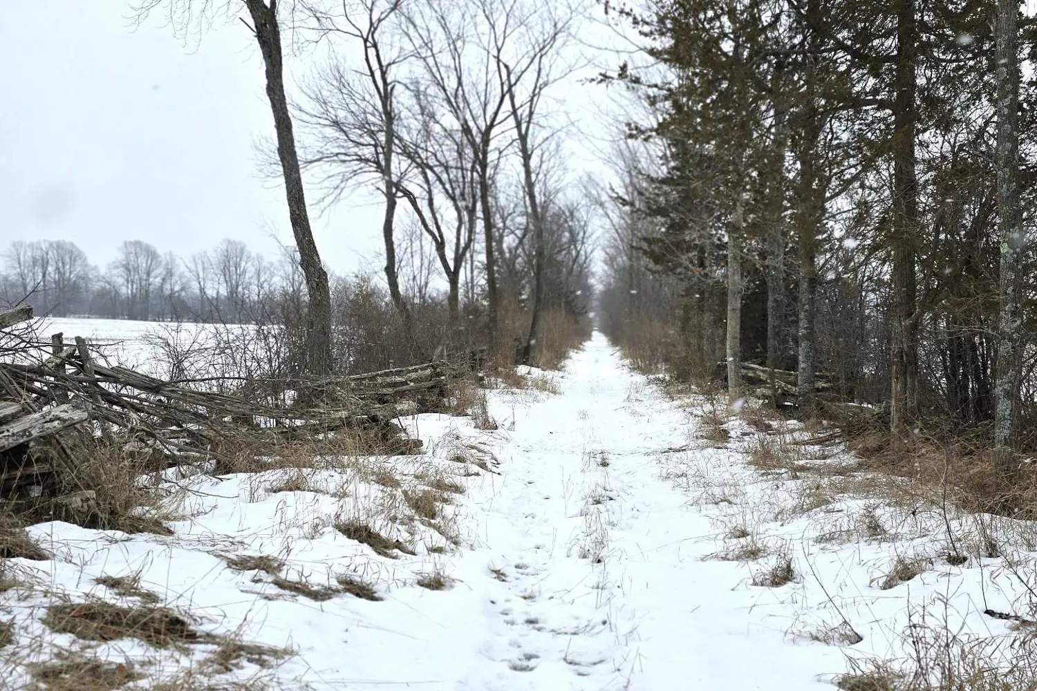 Additional image 12 of 0 Shannonville Road