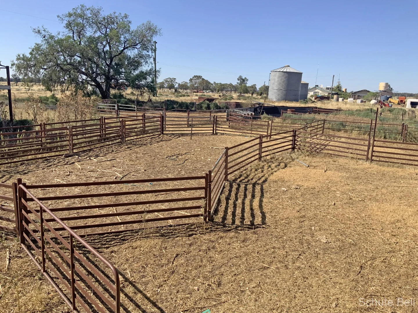 Additional image 5 of 703 Yethera Road, Tullamore NSW 2874