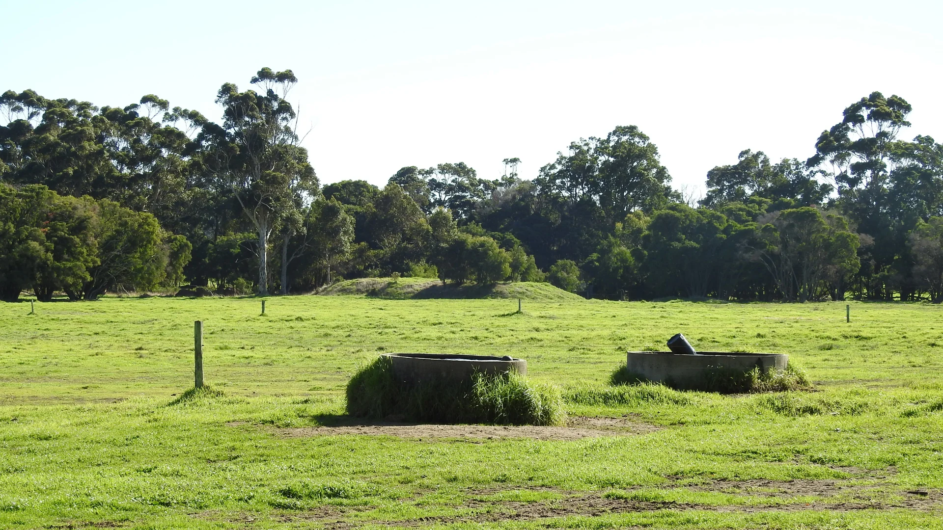 Additional image 4 of Calgardup Road, Forest Grove WA 6286