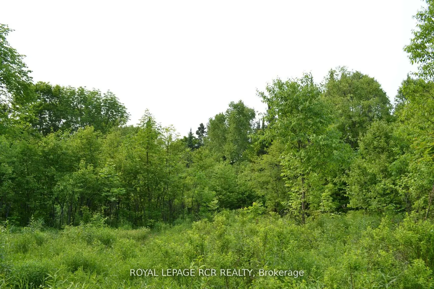 Additional image 5 of 1527 Madill Road