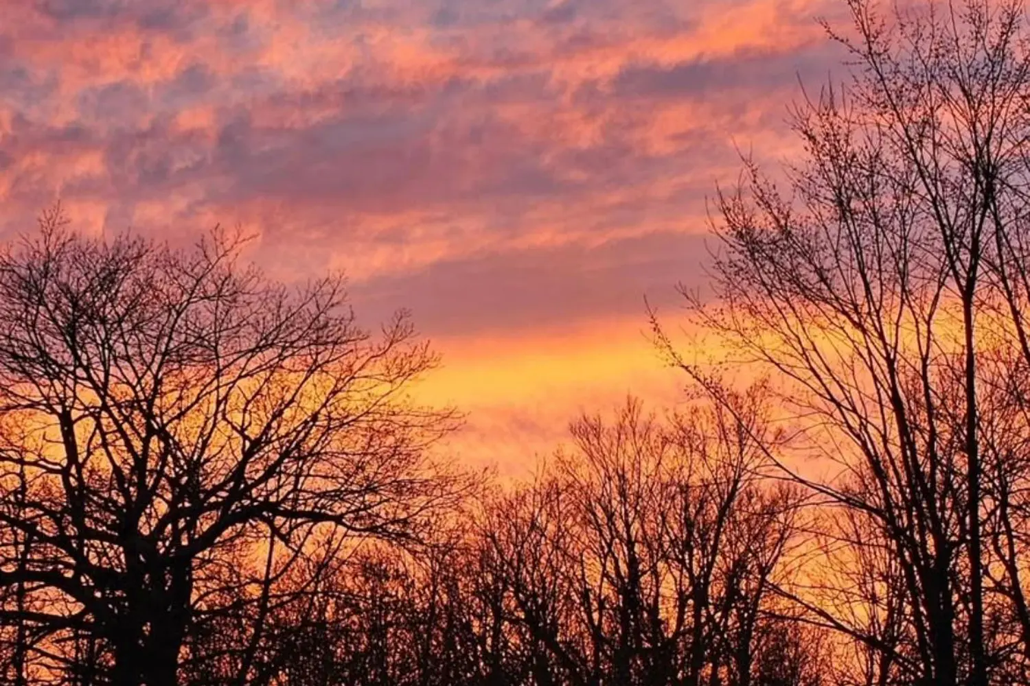 Additional image 18 of 752 Bennett Lake Road