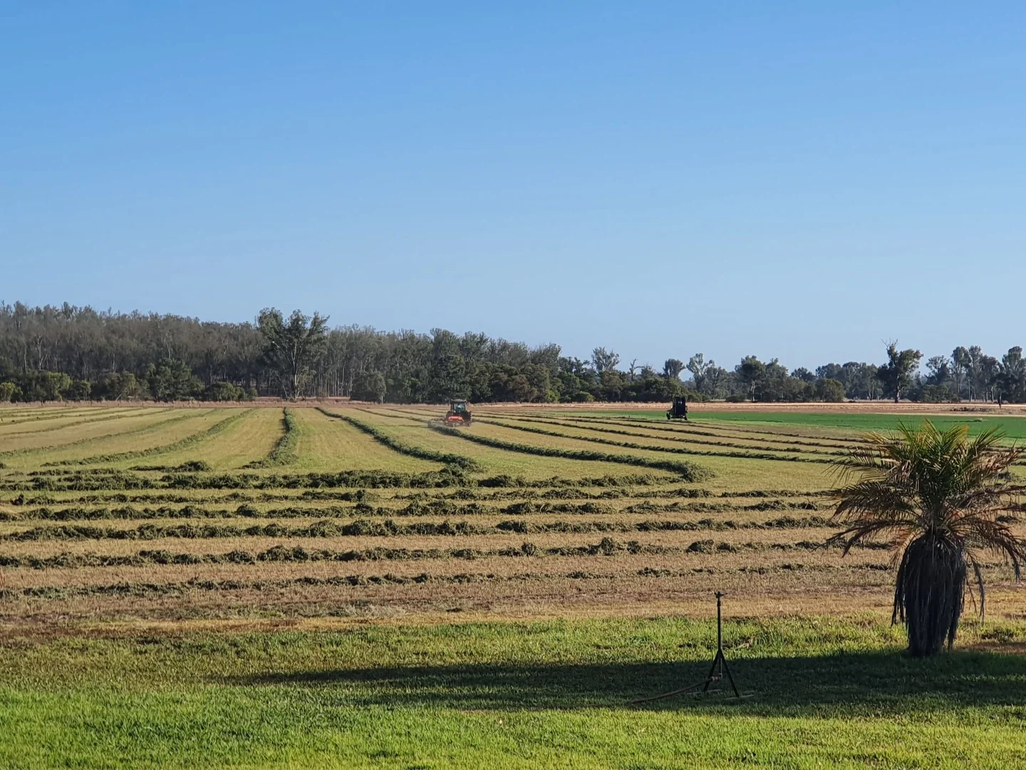 Additional image 16 of 206 Mondure Crossing Road, Glan Devon QLD 4615