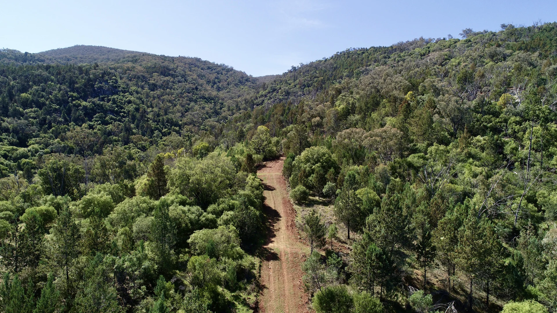 Additional image 9 of 34 Joshua Place, Moore Creek NSW 2340