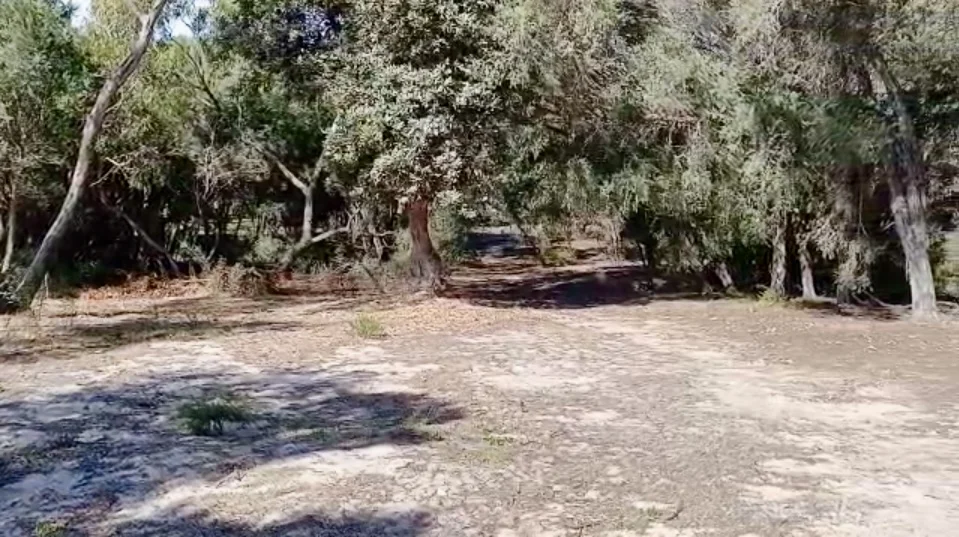 Additional image 5 of 35 Banksia Street, Loch Sport VIC 3851