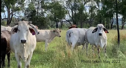 Additional image 12 of 404 New Valley Road, Inverell NSW 2360