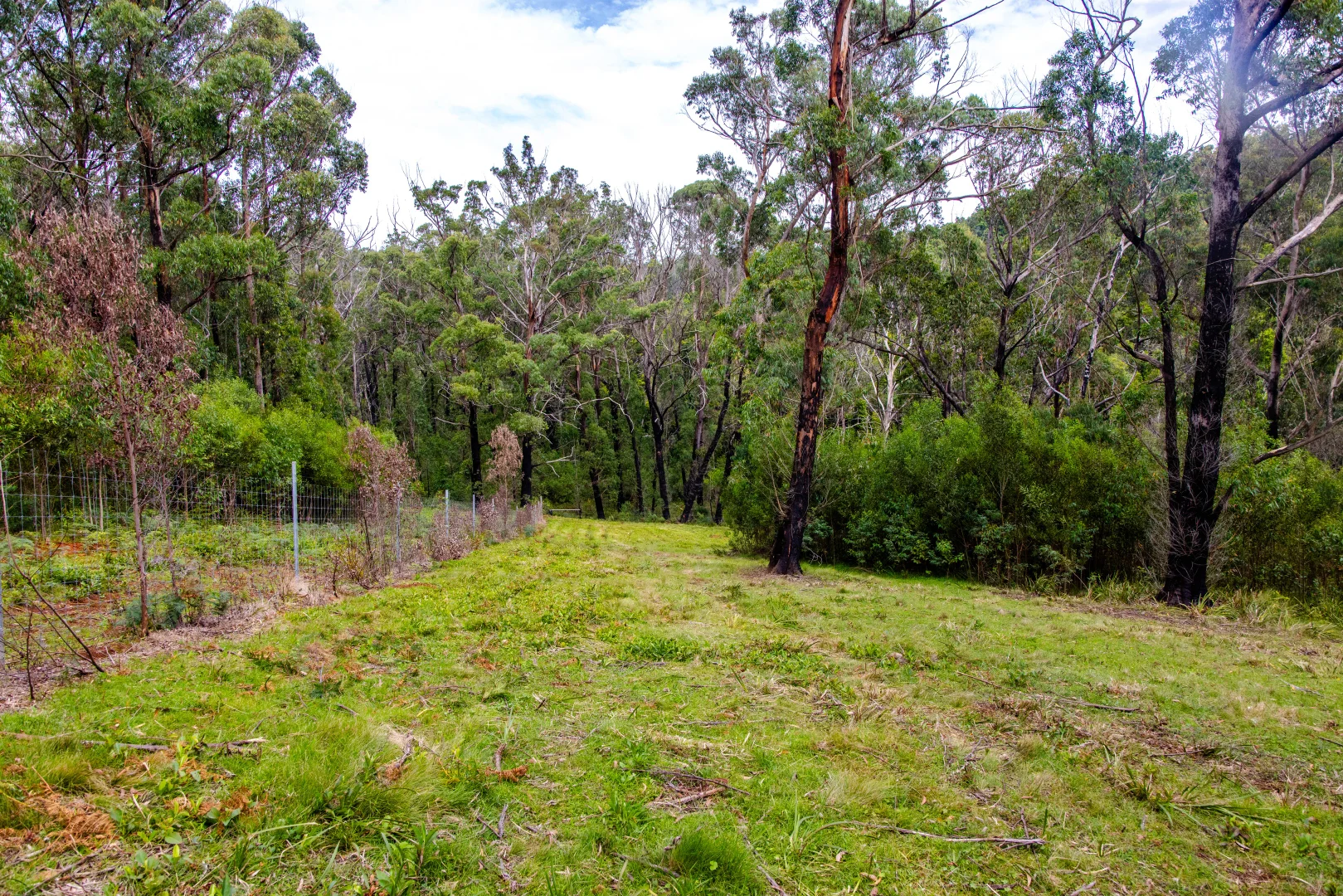 Additional image 14 of Lot 4 Braidwood Road, Sassafras NSW 2622
