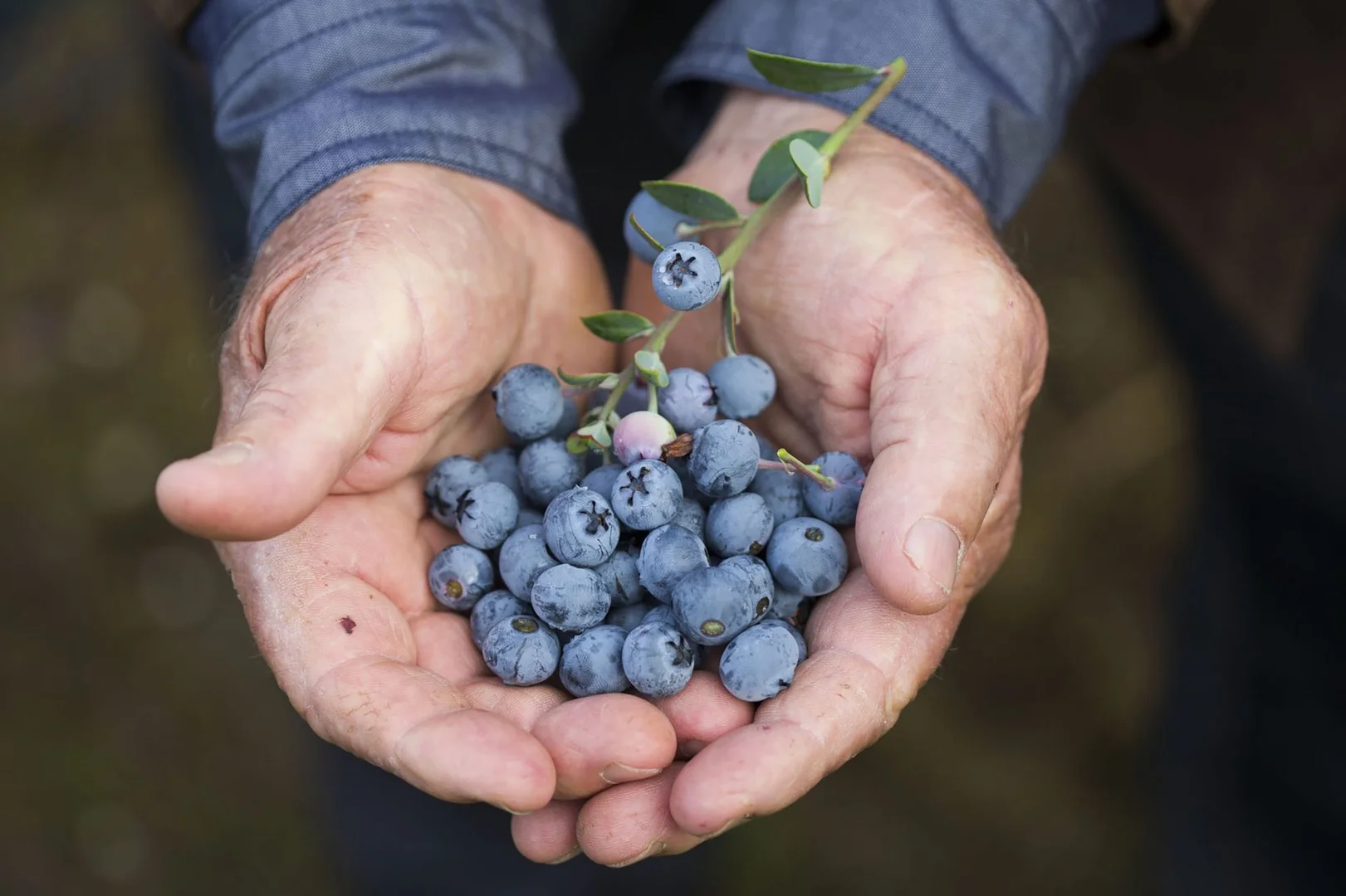 Additional image 22 of 103 Kawana Lane, Barraganyatti NSW 2441