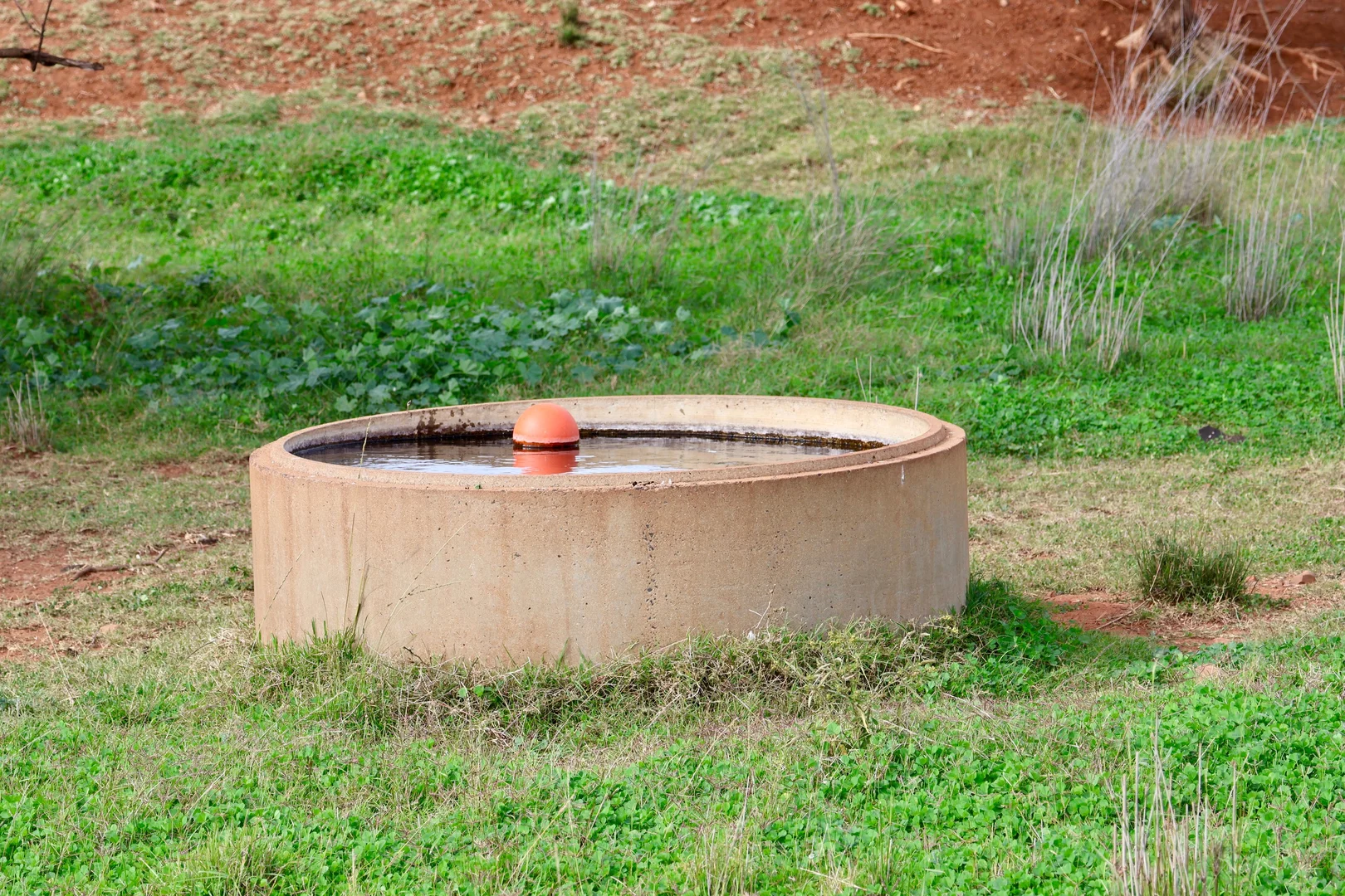 Additional image 7 of The Wilgas Cobbadah Road, Bingara NSW 2404