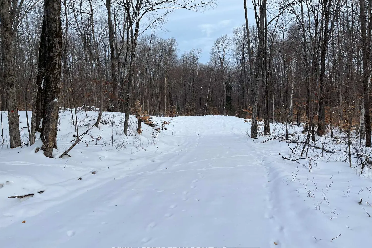 Additional image 2 of 01 Siberia Road